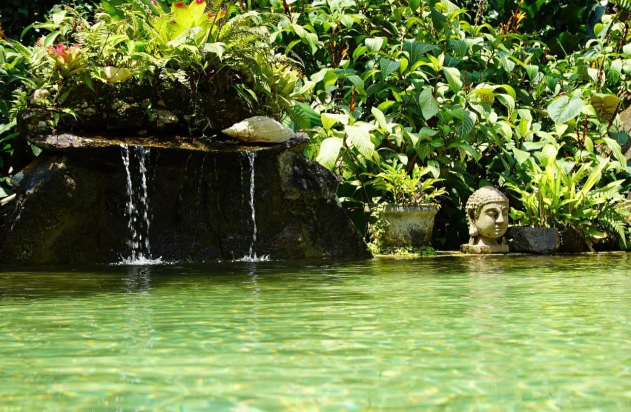 Pousada Do Riacho Trindade Trindade  Kültér fotó